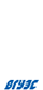 符拉迪沃斯托克国立经济服务大学